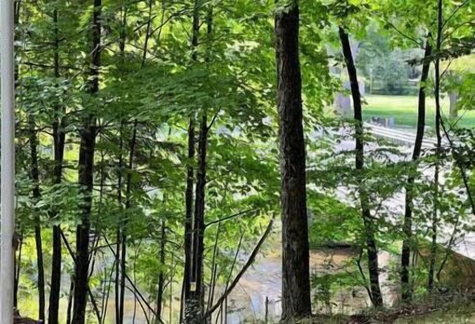 3cba5675 3126 48e9 a736 fca8215b8546