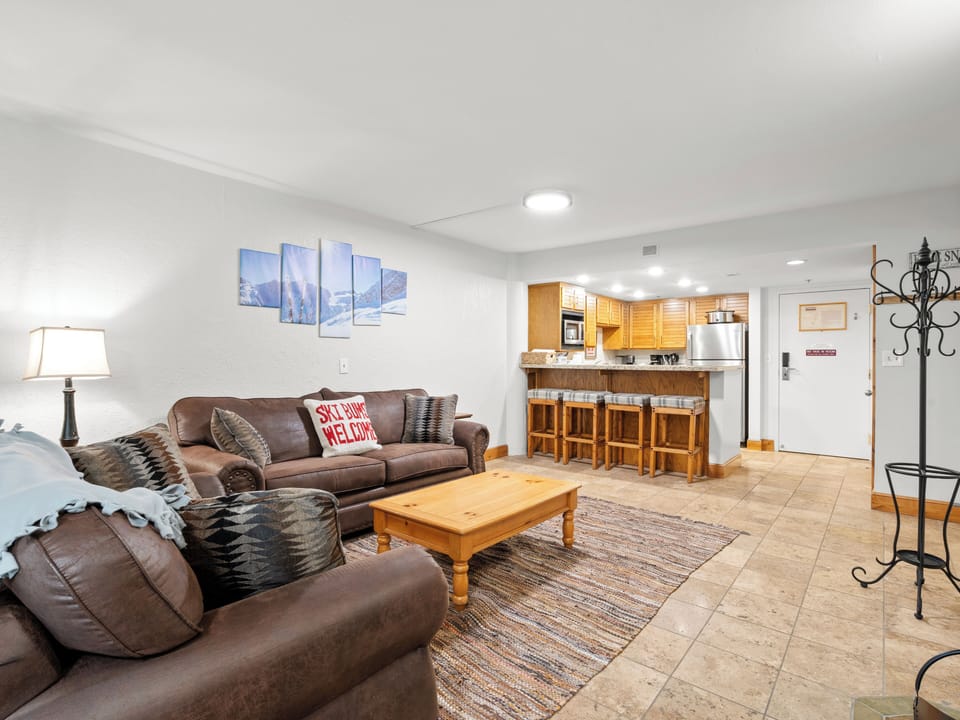Living Area / Sleep Sofa