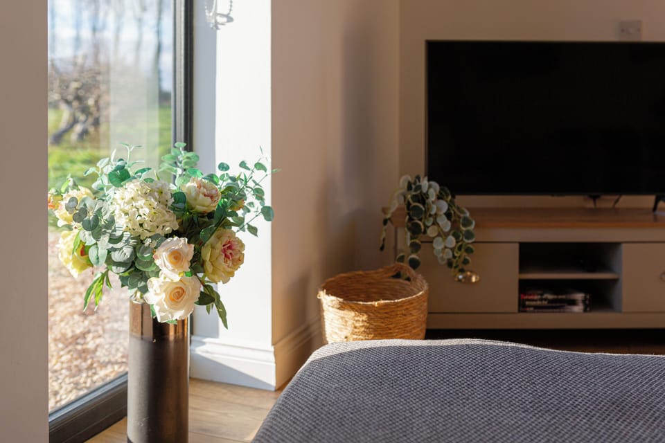 Flat-screen TV