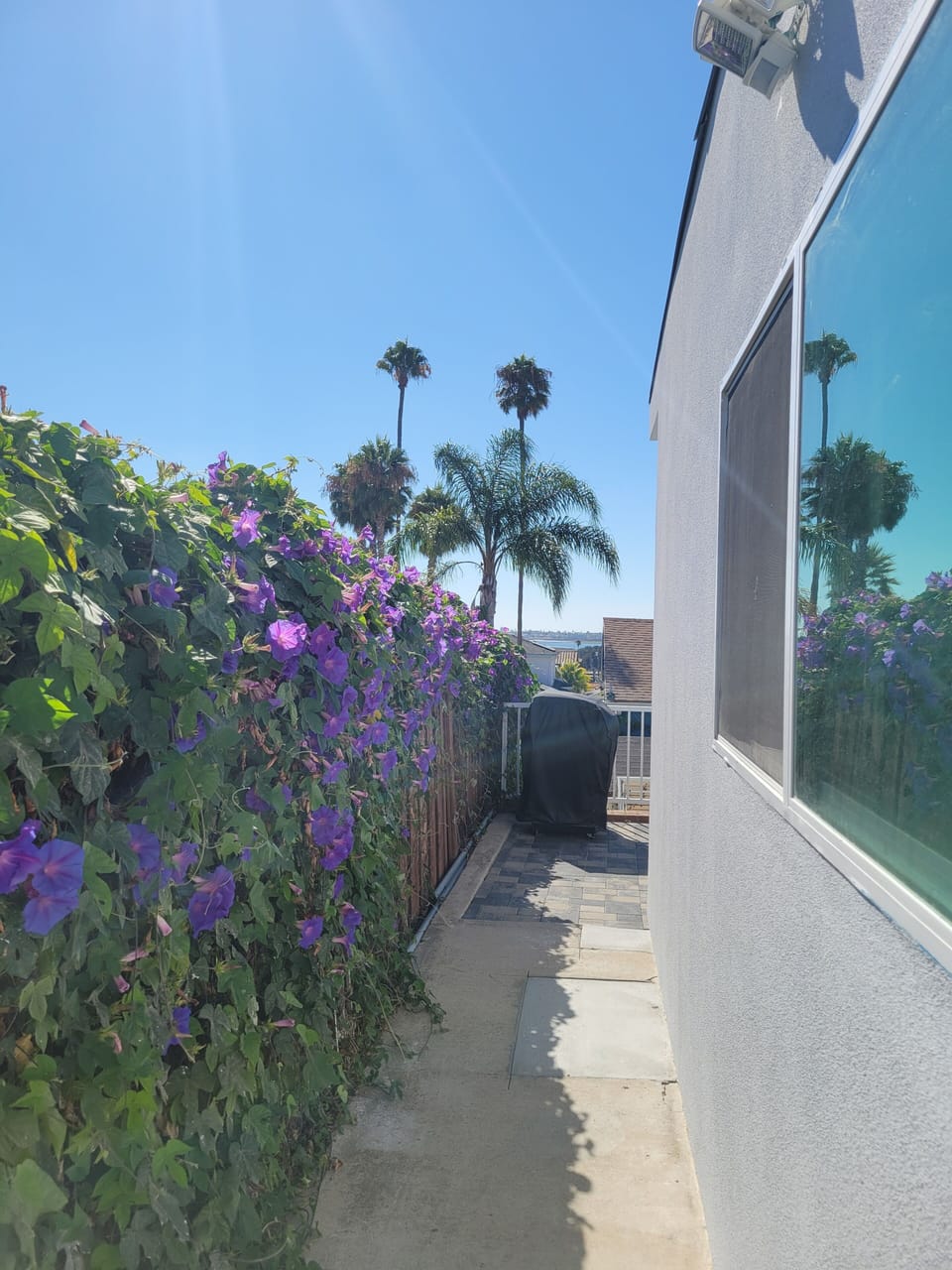 Southwest private access to the premise