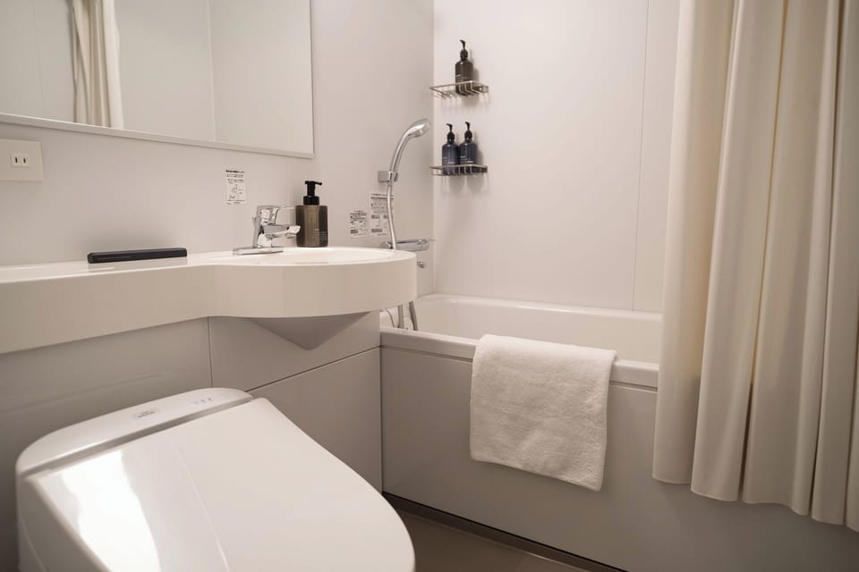 Combined shower/tub, eco-friendly toiletries, hair dryer, slippers