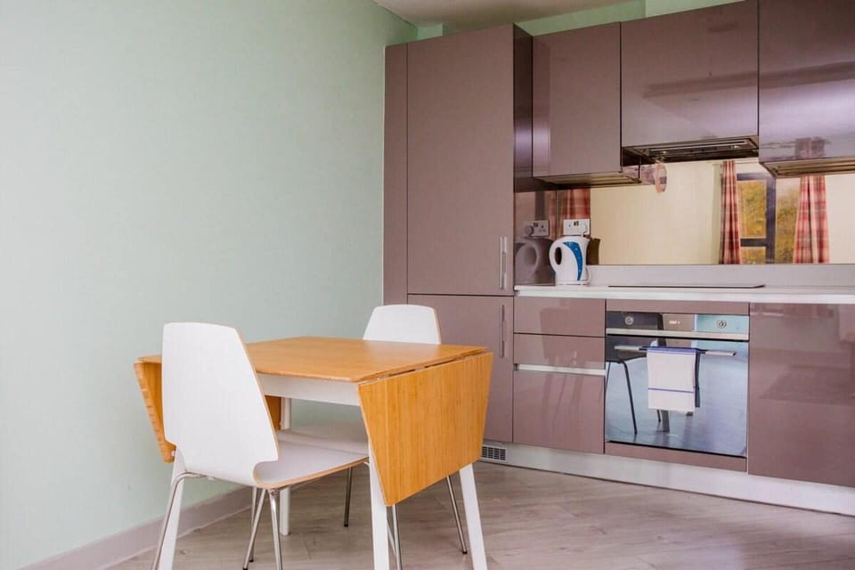 Apartment | Private kitchen | Fridge, microwave, oven, stovetop