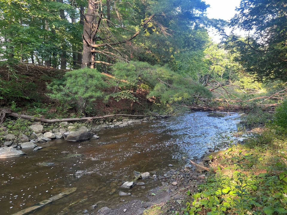 Creekside