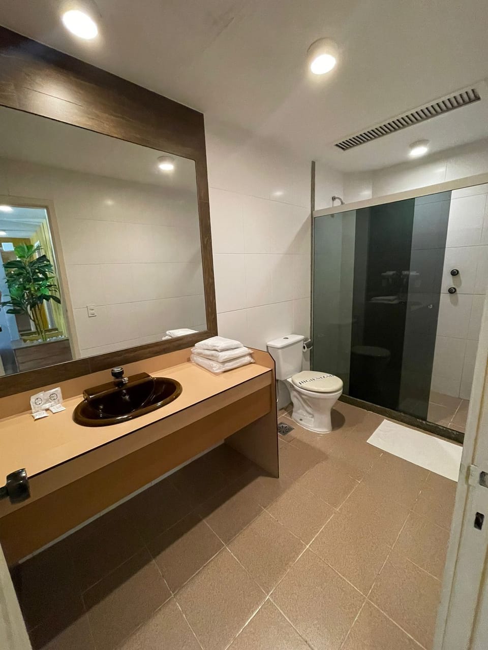 Basic Room | Bathroom
