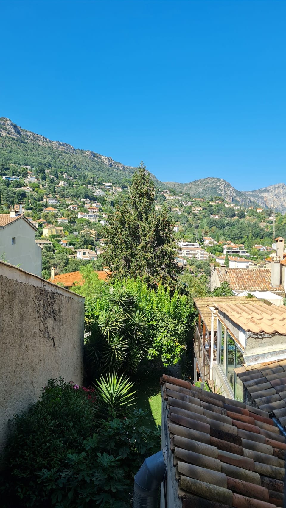 View from property