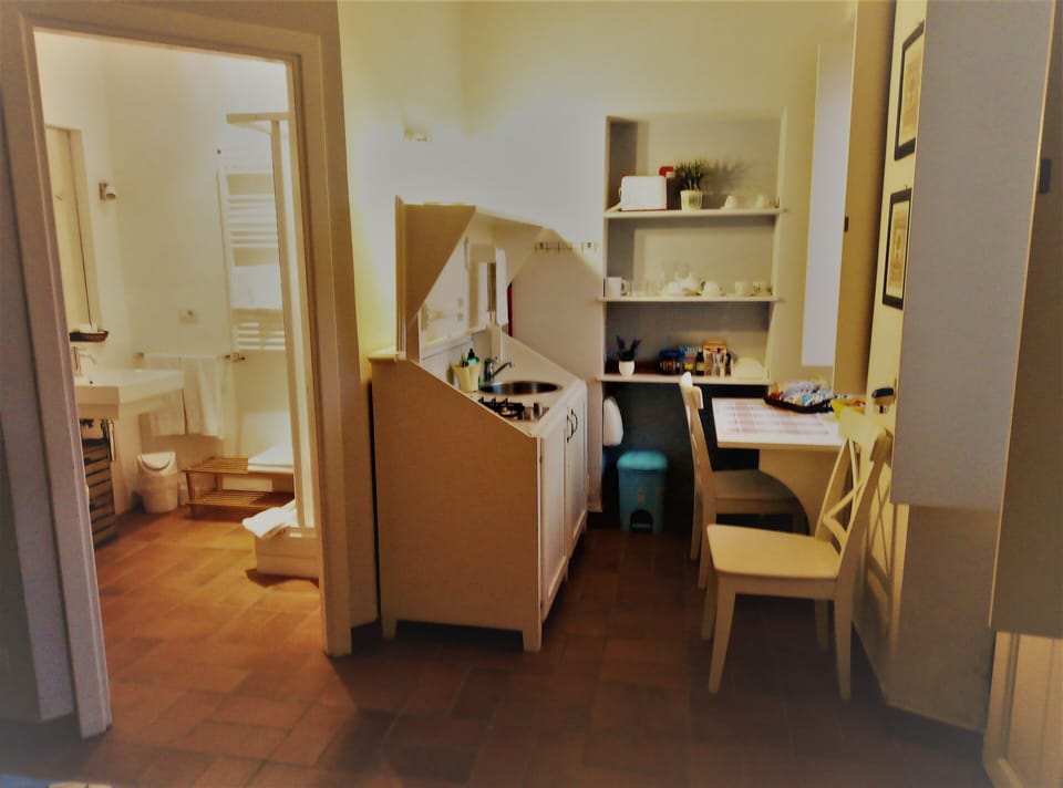 Studio, Terrace | Private kitchen | Fridge