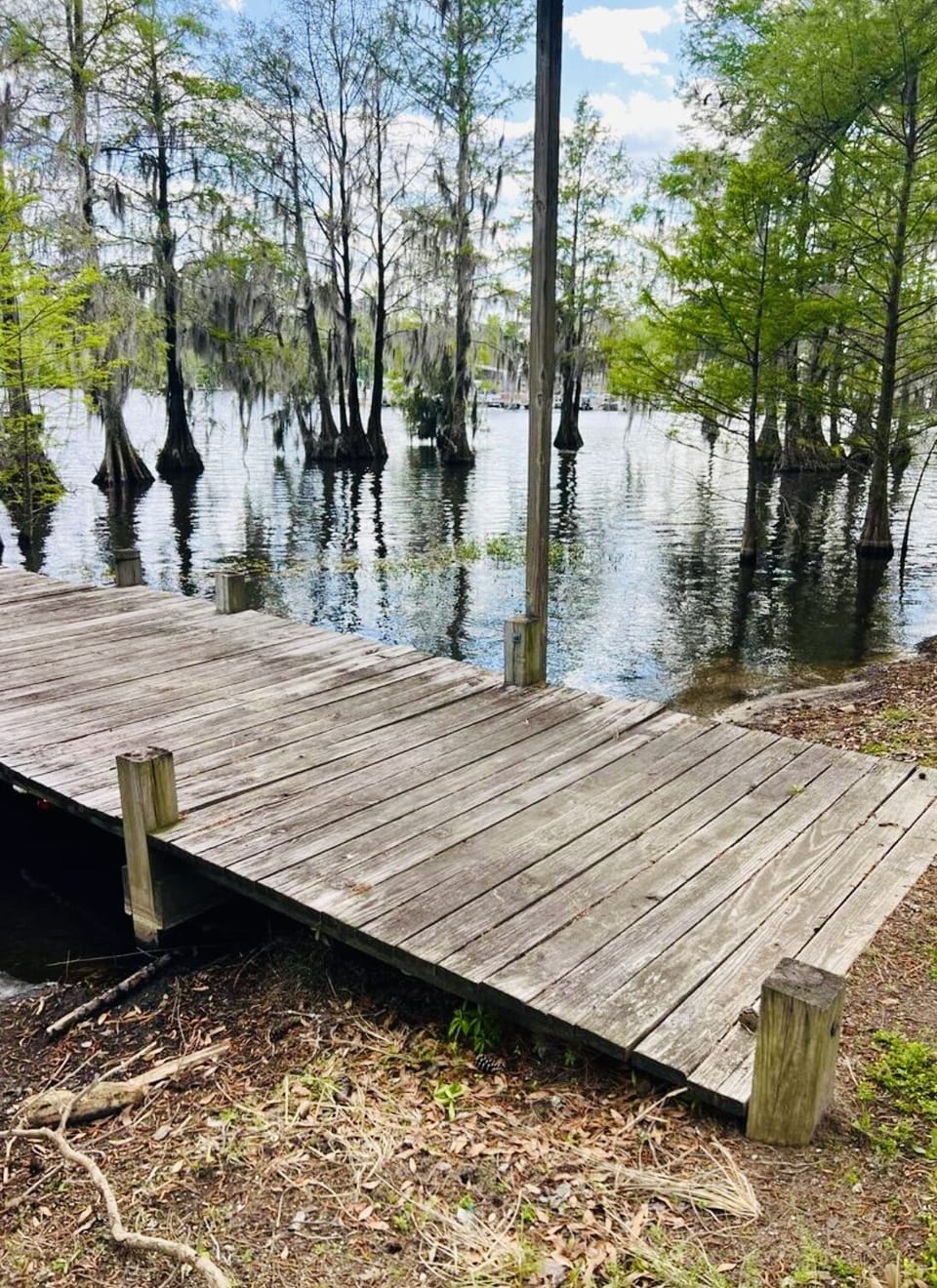 Dock directly outside the cabin