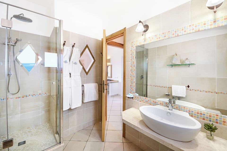 Shower, free toiletries, hair dryer, bathrobes