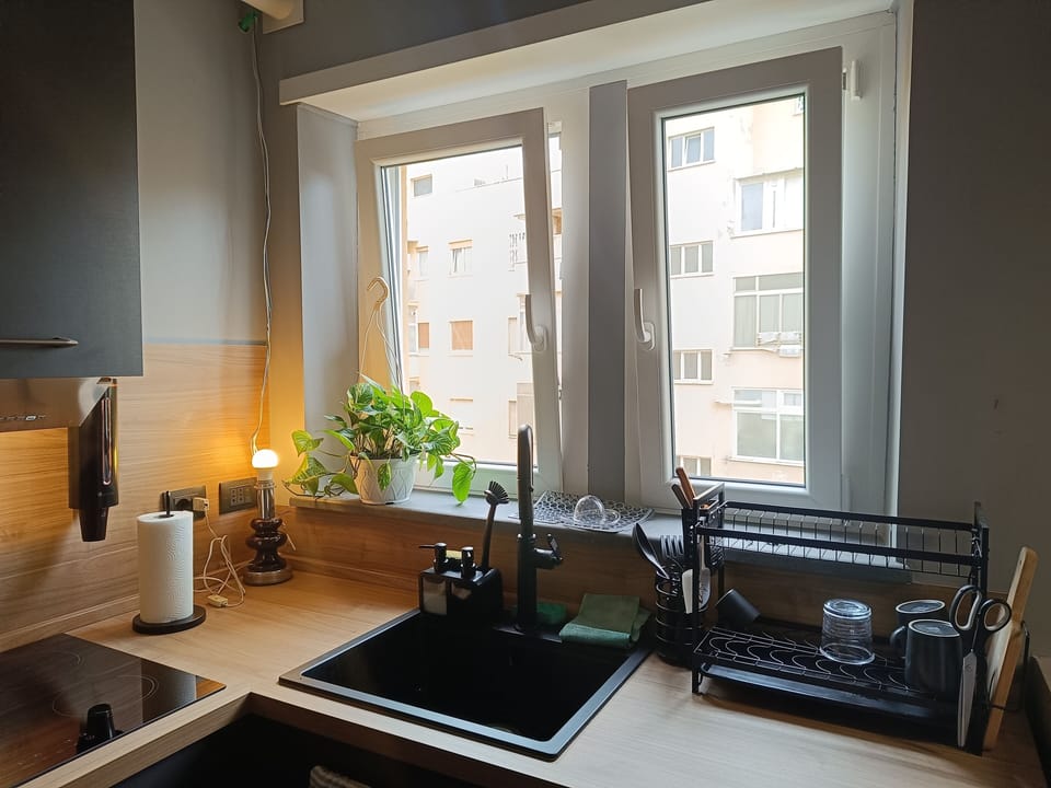 Full-size fridge, microwave, oven, stovetop
