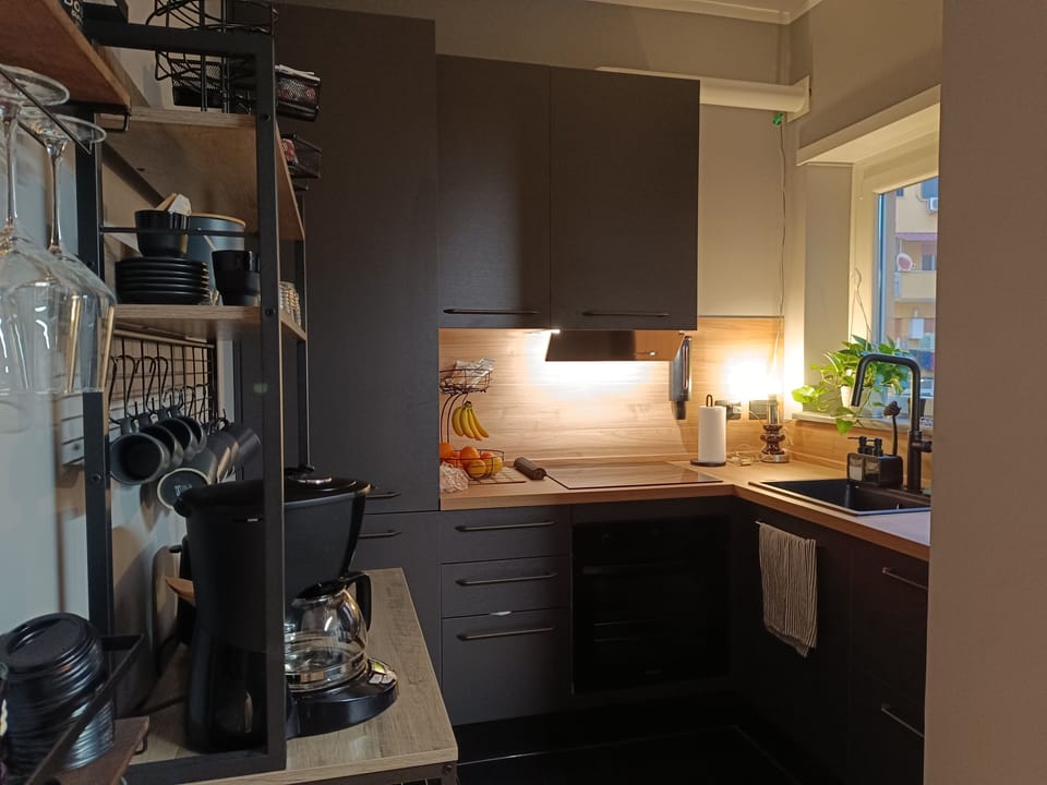 Full-size fridge, microwave, oven, stovetop