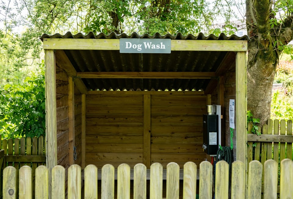 For salty dogs or muddy paws, there's this lovely warm dog wash station