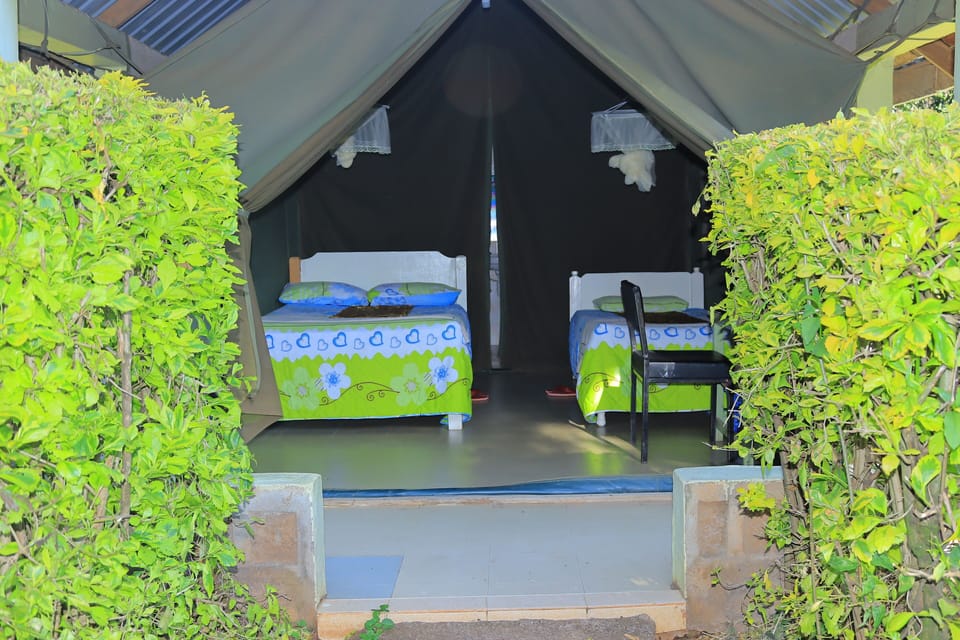 Deluxe Double or Twin Room, 2 Twin Beds, Balcony, Park View | Bed sheets, wheelchair access