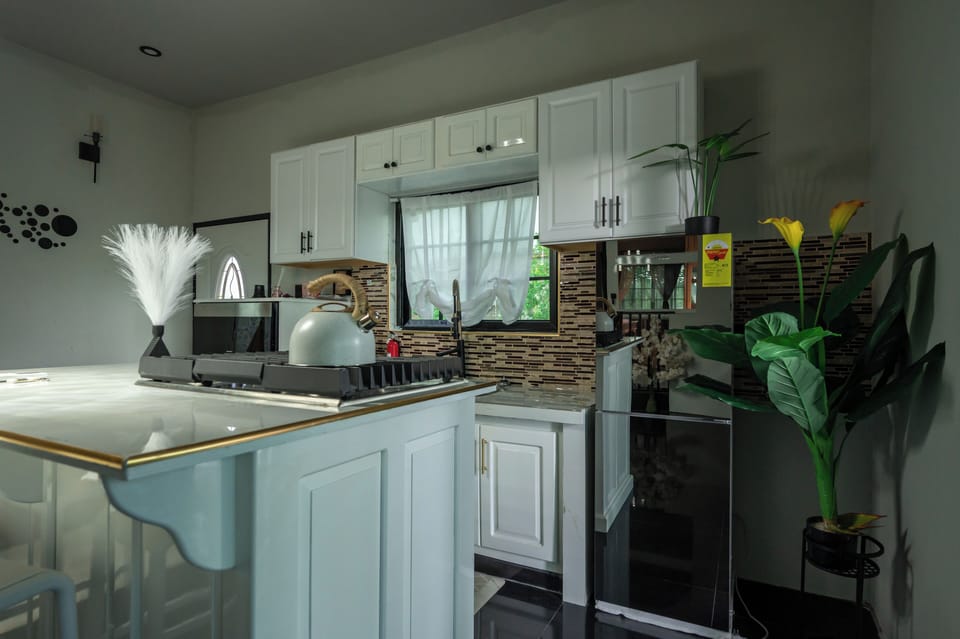 Fridge, microwave, stovetop