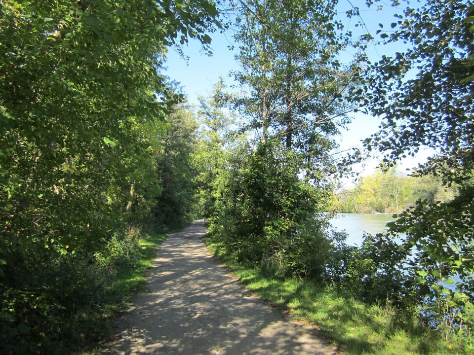 Trail