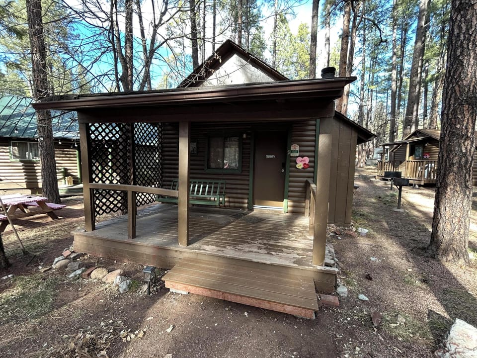 Cabin 9 Main