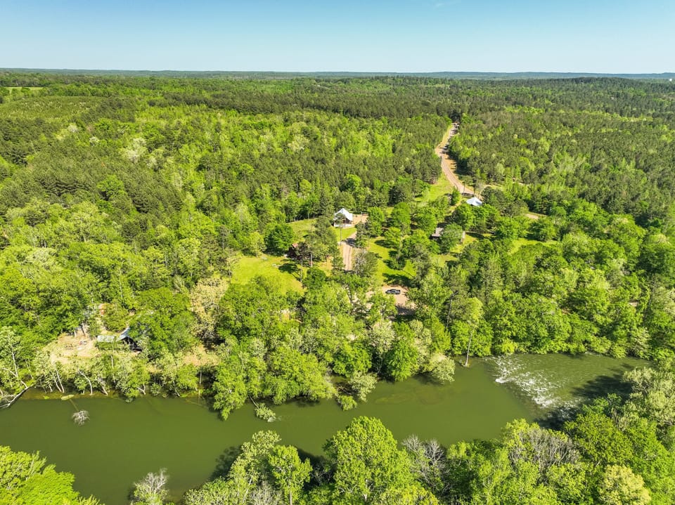 The aerial view shows the cabin's secluded position within dense forest beside the river.