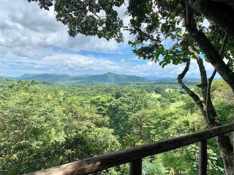 The mountain view