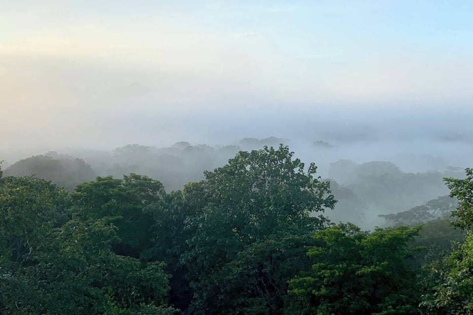 View during the rainy season