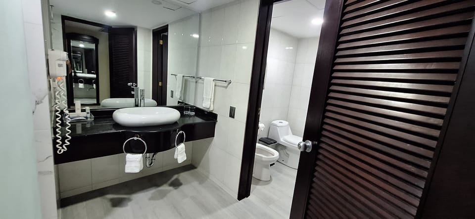 Business Room, 1 King Bed | Bathroom | Free toiletries, hair dryer, slippers, bidet