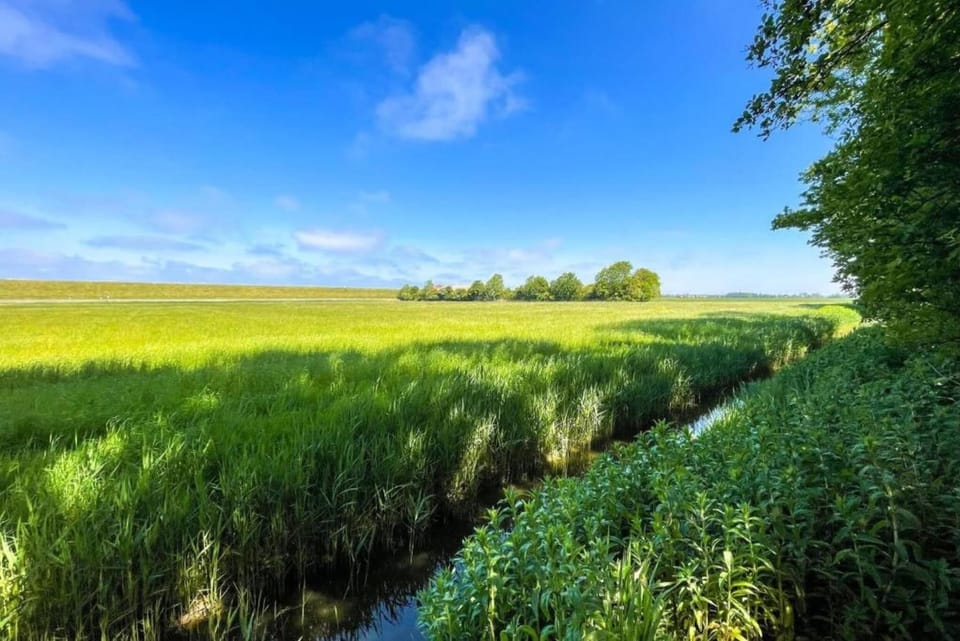 Region [summer] (>5 km)