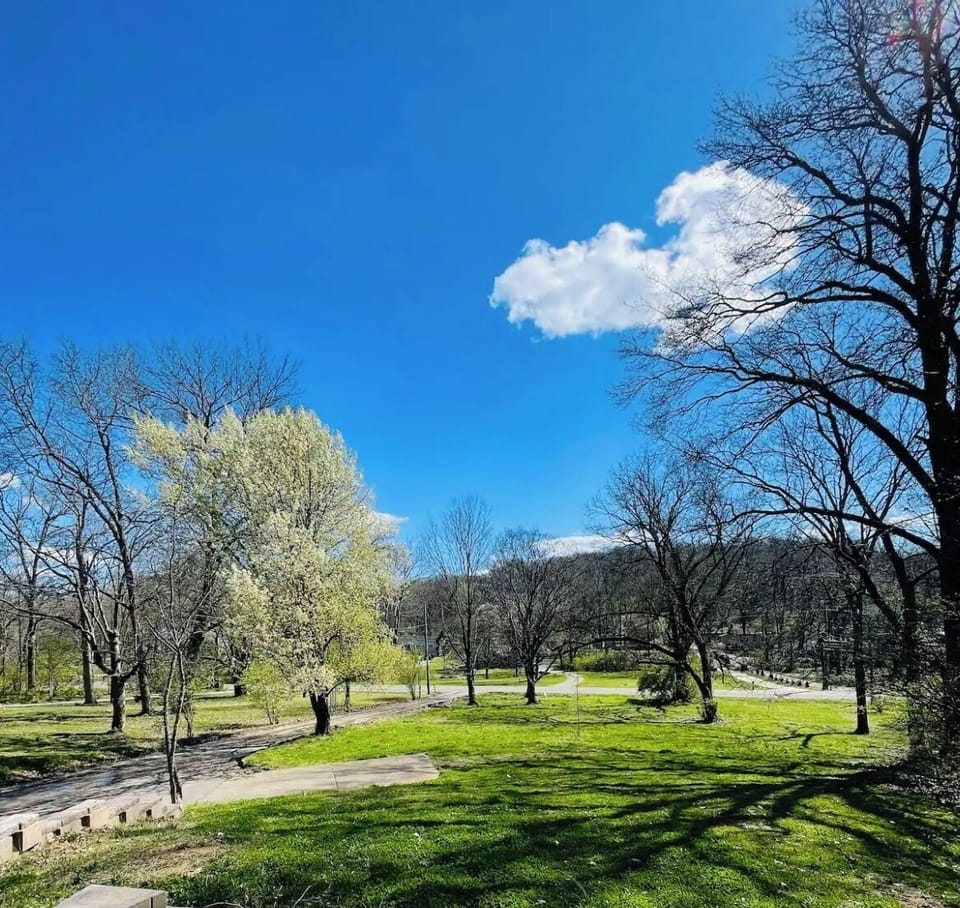 The front yard view. Nestled in the hills of Tennessee.