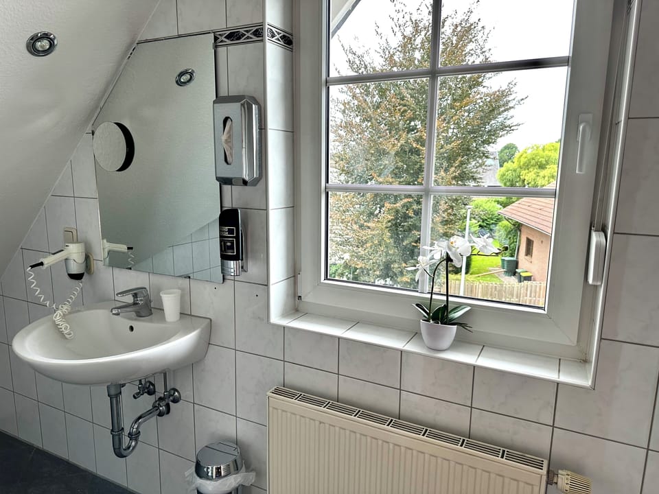 Deluxe Double Room | Bathroom | Shower, hair dryer, towels, soap