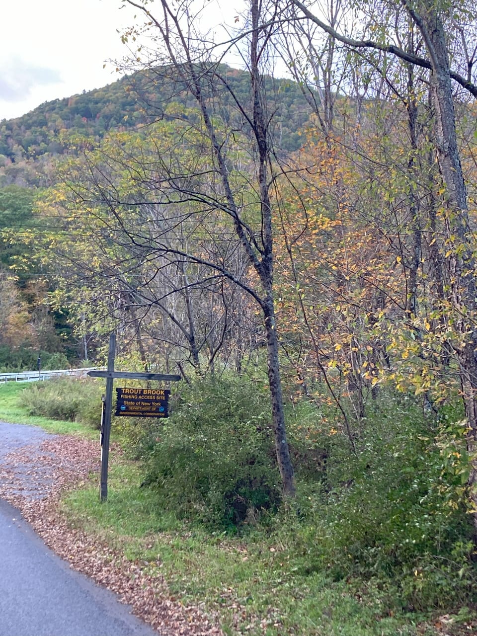 Access to Trout Brook leading to Beaverkill