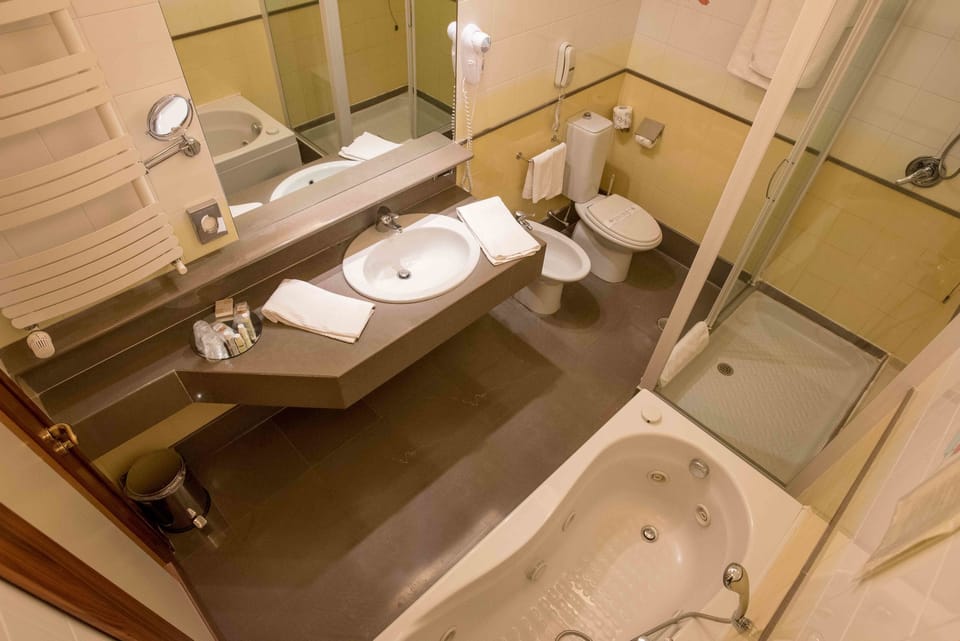 Business Single Room | Bathroom | Free toiletries, hair dryer, bidet, towels