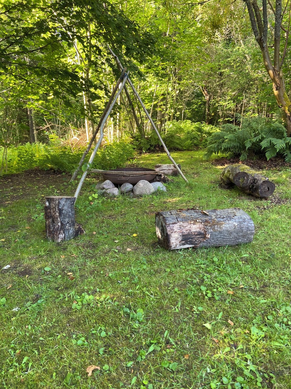 Property grounds