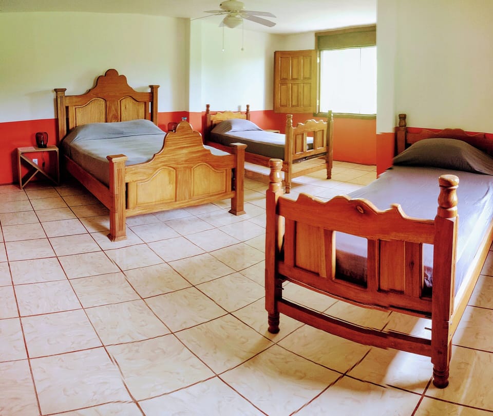 Basic Quadruple Room, Garden View | WiFi (free)