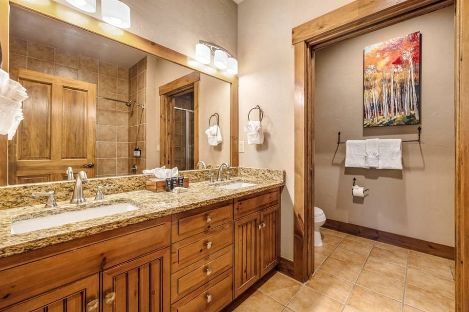 2 Bedroom Ski-in Condo at Mountain Thunder Lodge Apartment in Breckenridge