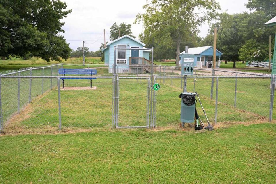 Dog park