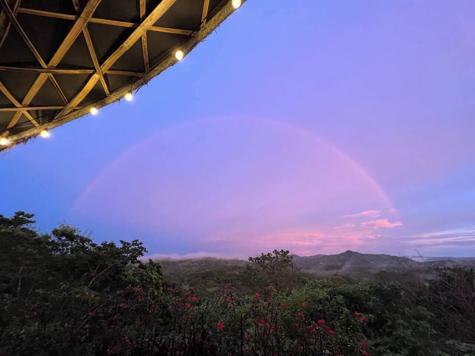 Pink sky colour