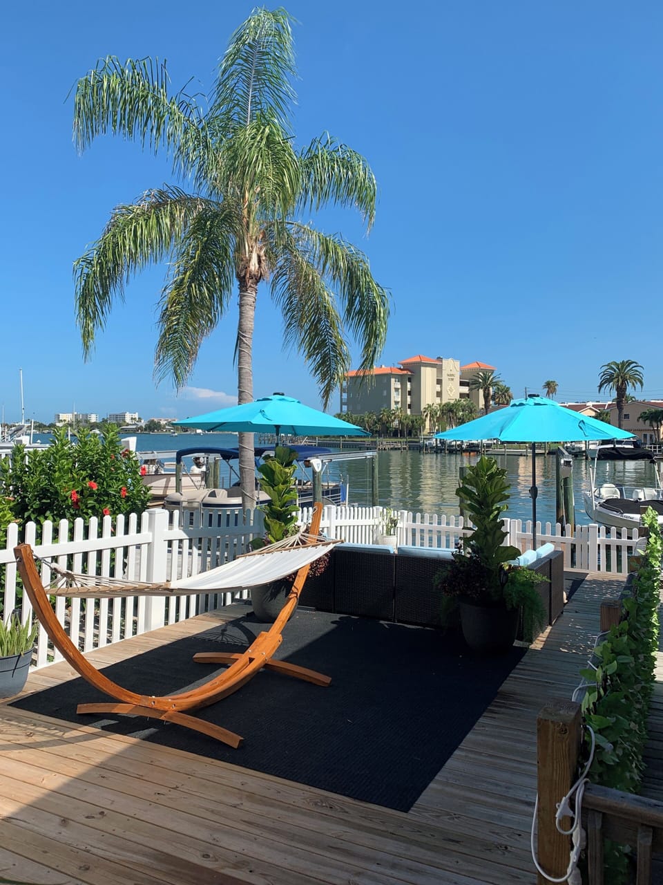 Hammock and patio view