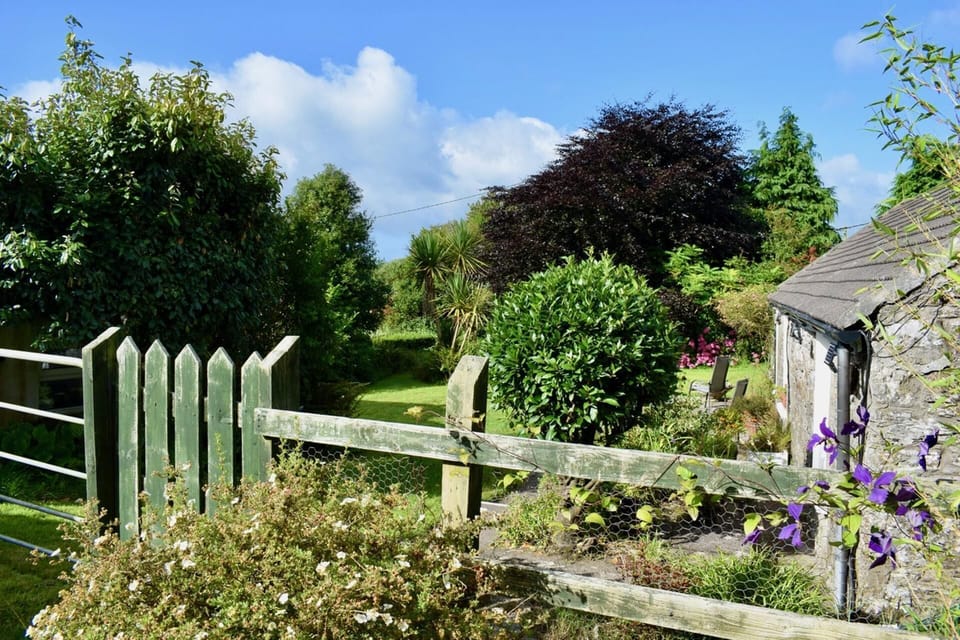 House | Property grounds