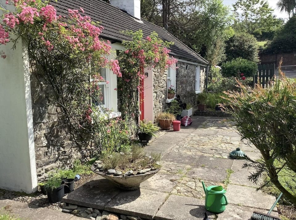 House | Property grounds