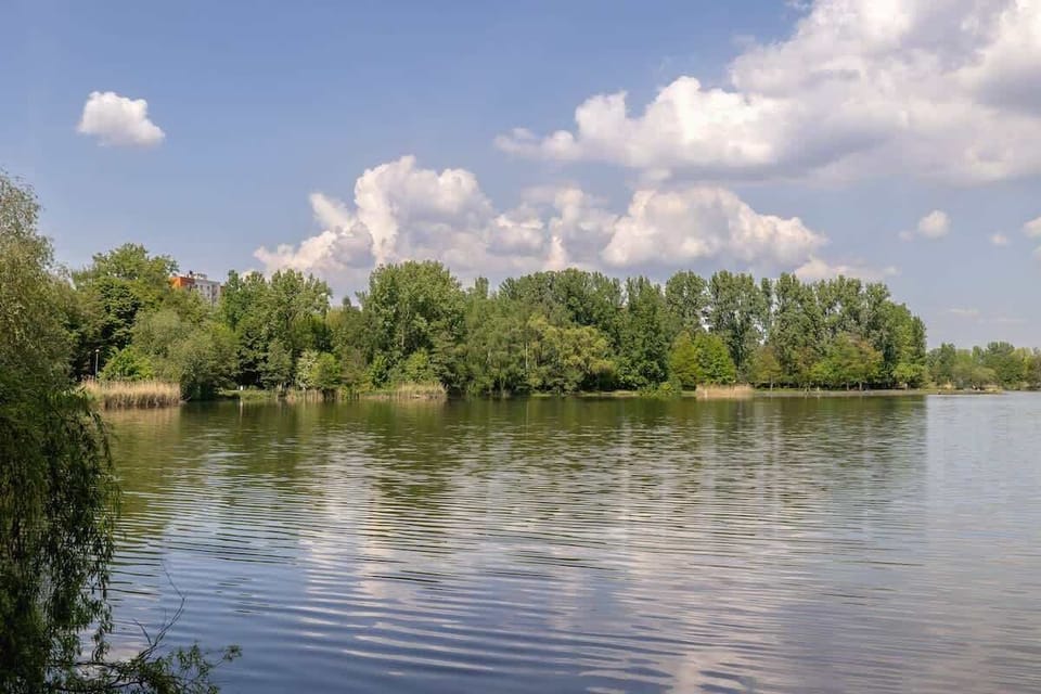 Serene view of a quiet lake surrounded by trees, reflecting the peaceful blue sky – a tranquil natural escape.