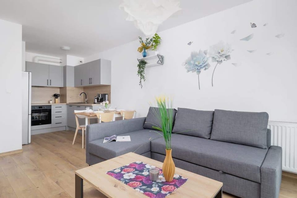 A modern living room with a gray sofa, wooden coffee table, TV, and large window with blue curtains.