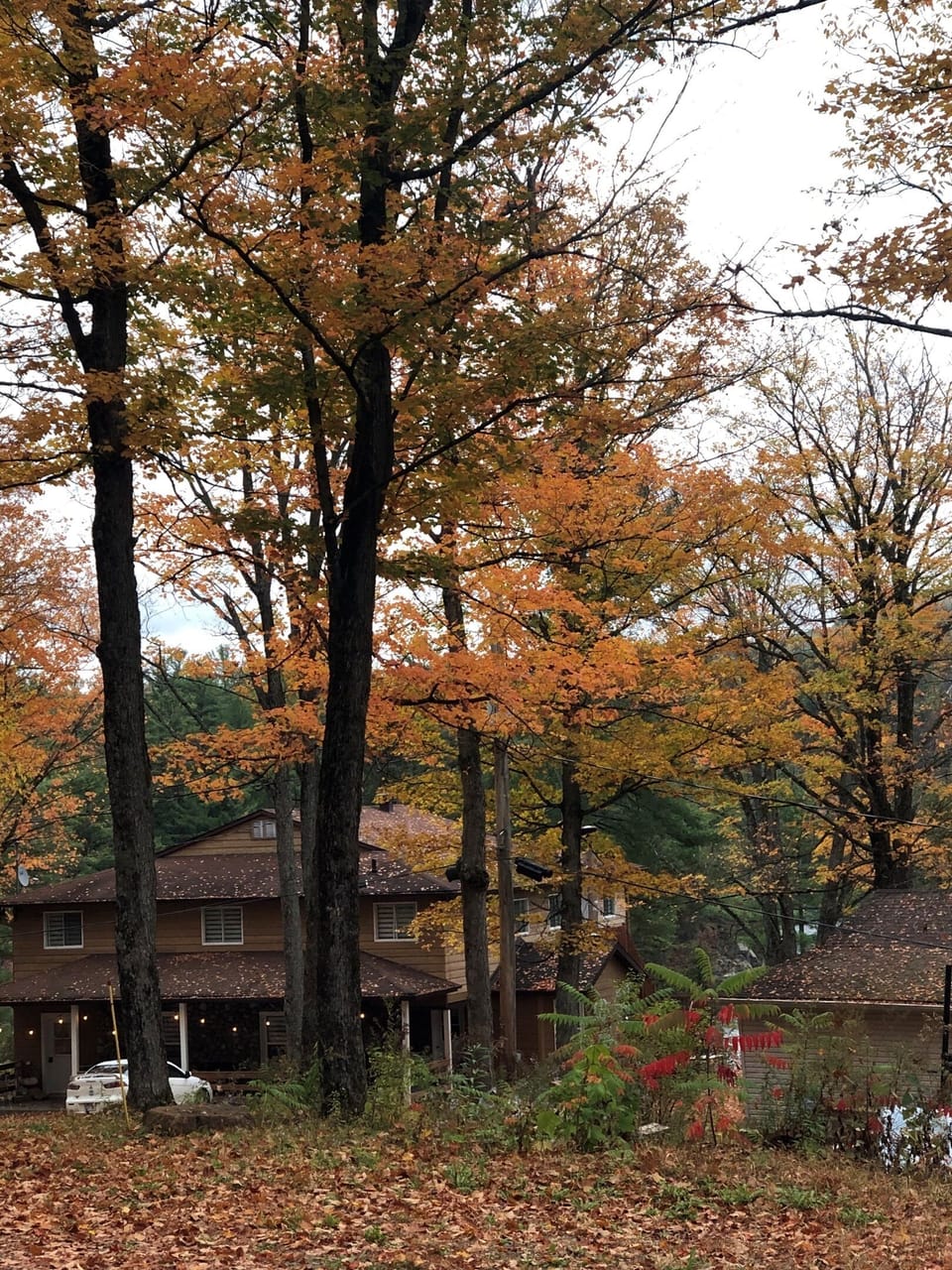 Le Manoir in fall splendor
