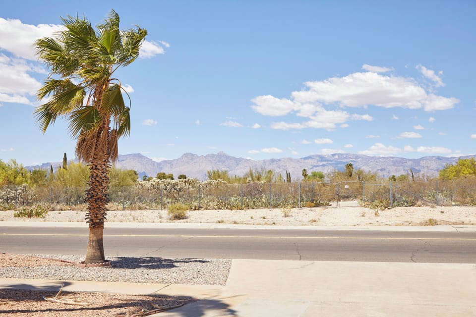 Arizona desert scape just outside the front door.