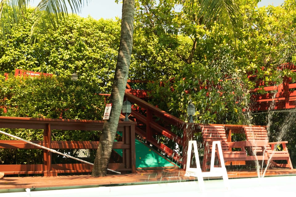 Pool & Deck