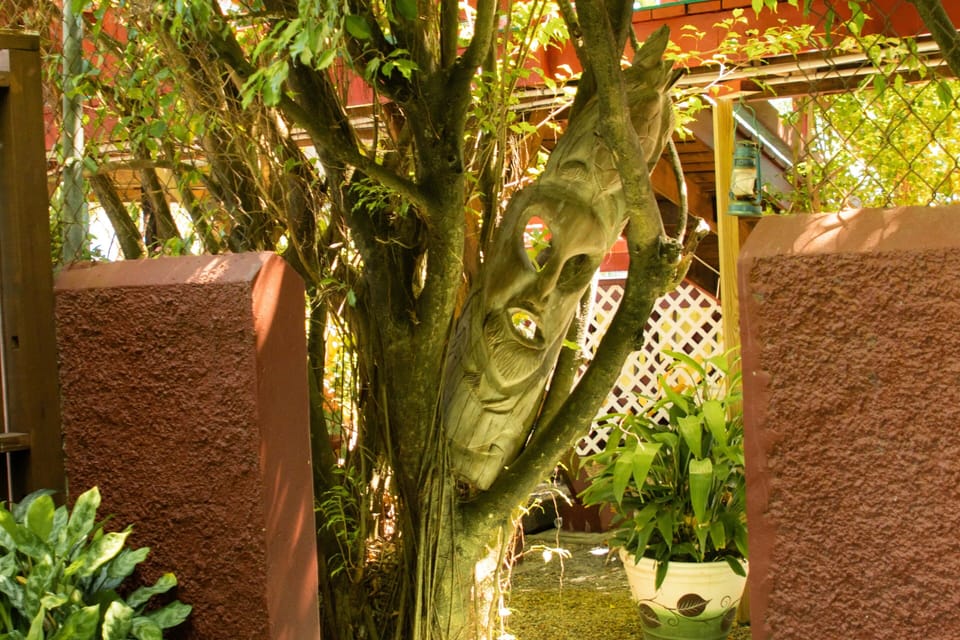 Entrance (1)