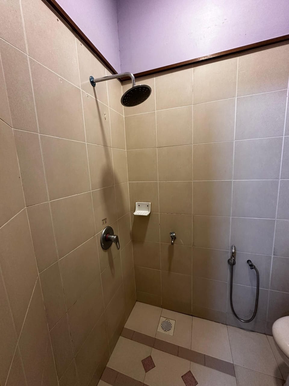 Standard Double Room, Balcony, Garden View | Bathroom shower