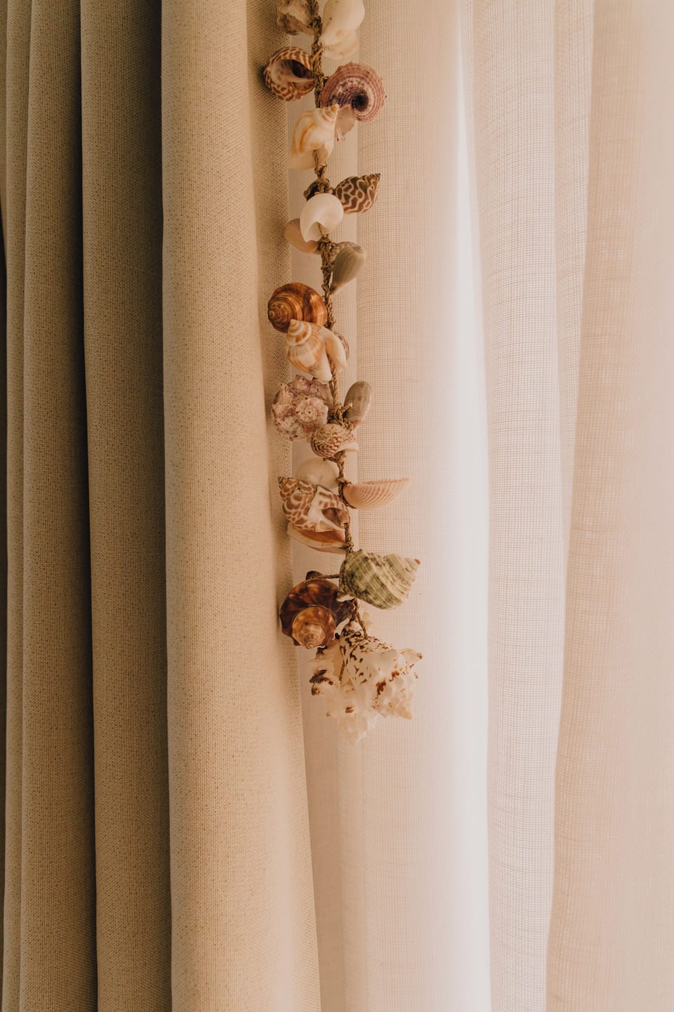 Seashell decoratie