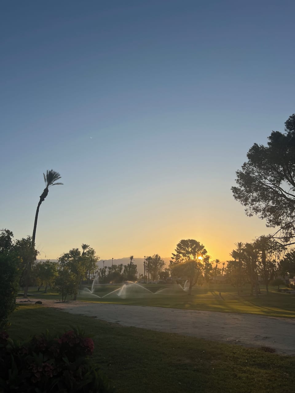 View from patio