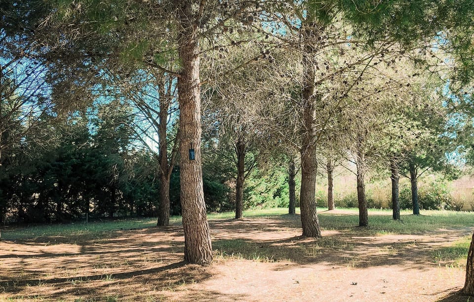 outside