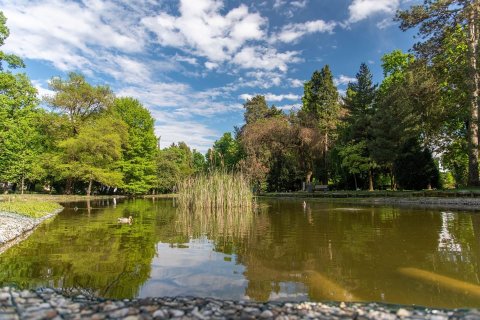 Lake in the park in nearby Murska Sobota