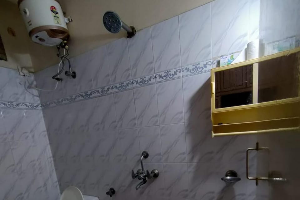 Shower, towels, toilet paper