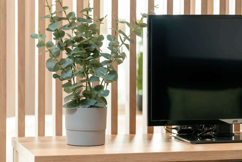 Living room detail with a TV, potted plant, and vertical wooden slats adding warmth and texture.