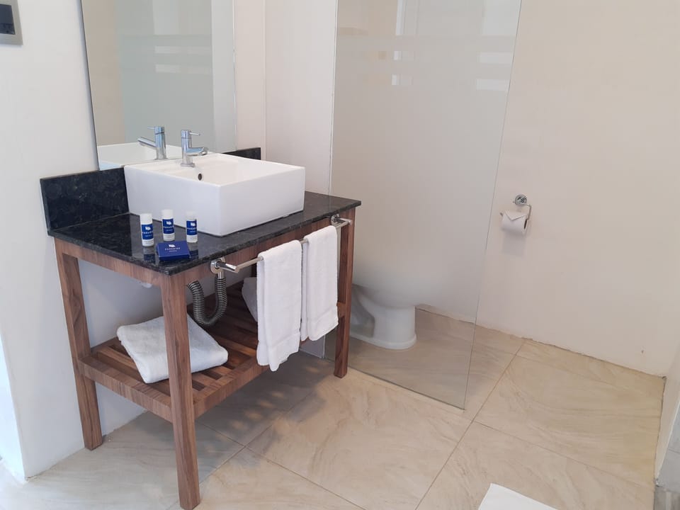 Premium Double Room, Balcony, Sea View | Bathroom | Shower, hair dryer, towels, soap
